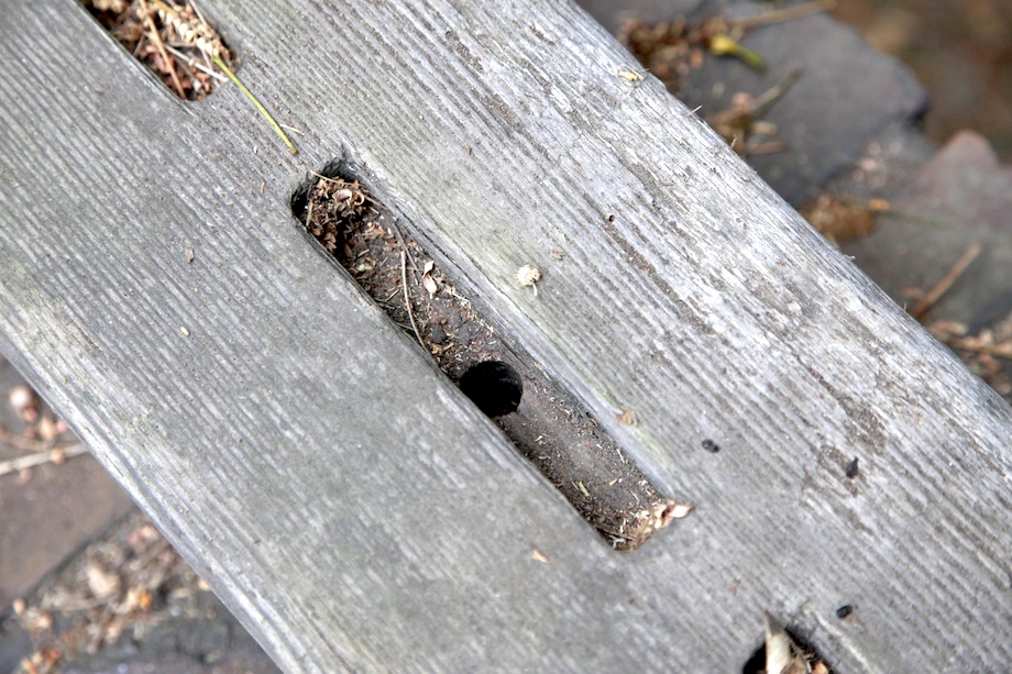 Close-up of weathered fence mortise joint showing traditional timber joinery and exposed tenon slot in painted wood