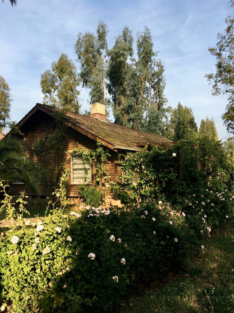 Edith Claypole House exterior with wood siding, shingle roof, and lush garden landscaping in Arts and Crafts style