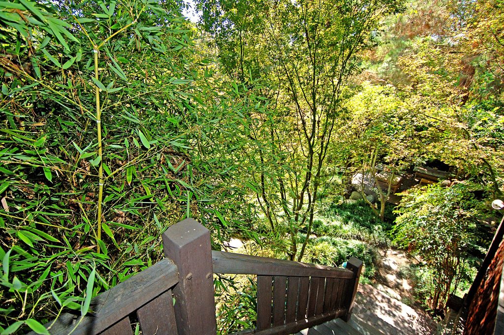 The lush landscaping and natural terrain below the rear deck of The Caroline S. de Forest House, blending with the Arroyo Seco.