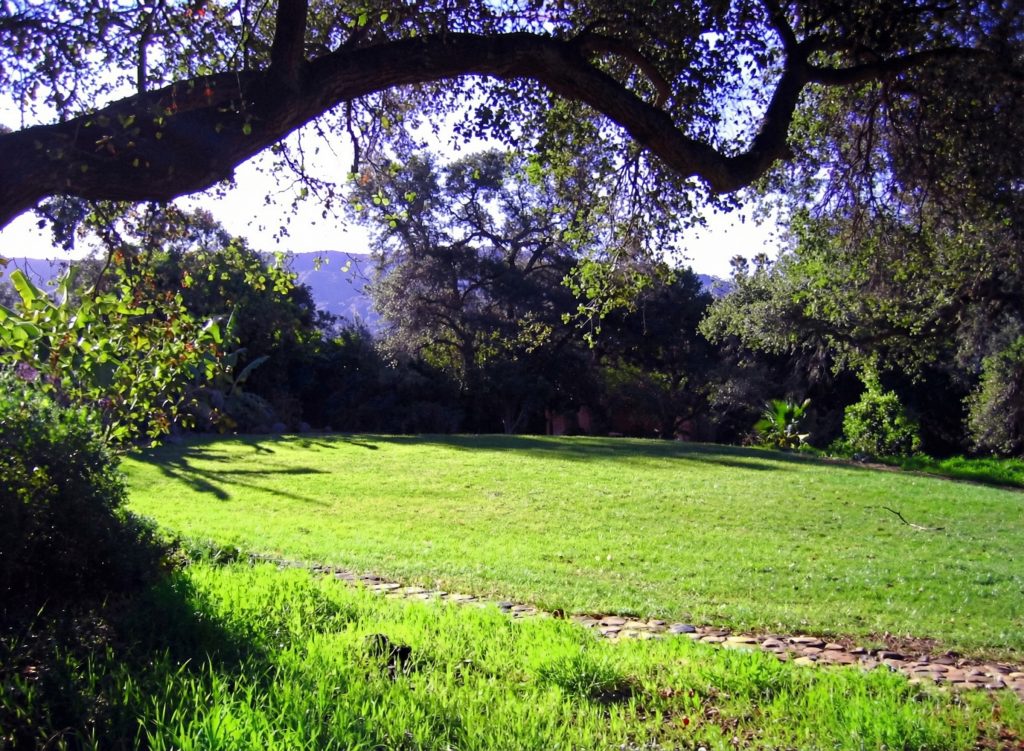Landscaping view of The Charles M. Pratt House showing mature trees, garden beds, stone walls, and terraced grounds