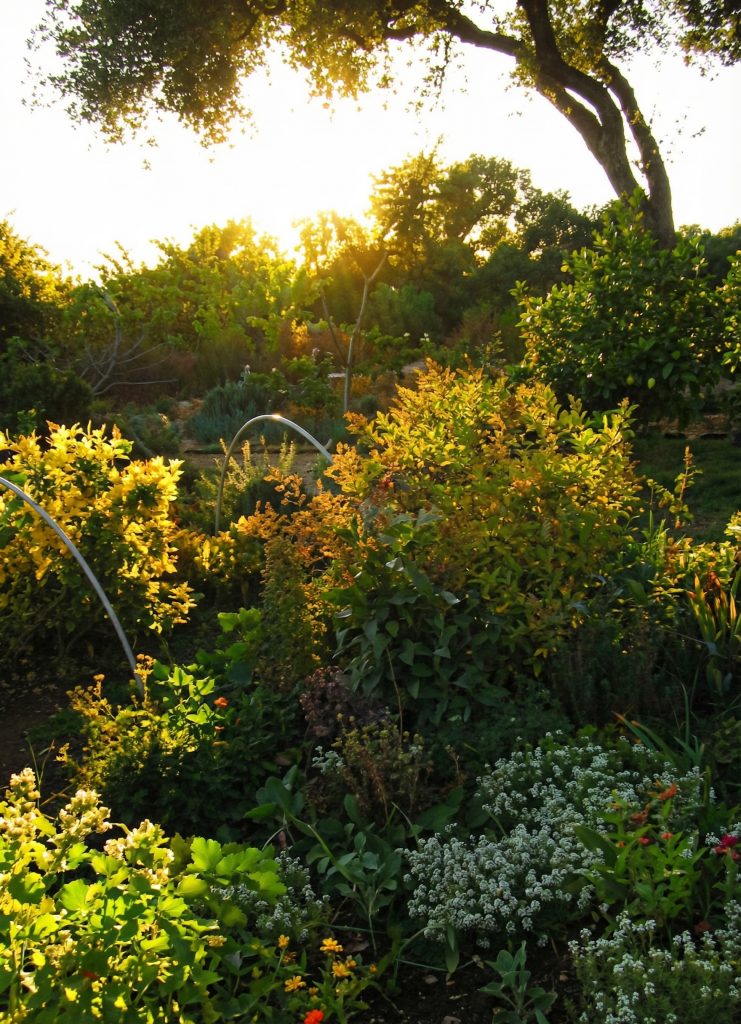 Landscaping view of The Charles M. Pratt House showing garden pathways, stone walls, mature trees, and lush plantings