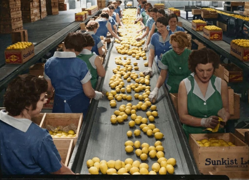 1936 photograph of lemon packing operations at Leffingwell Rancho, home of The Charles W. Leffingwell Bunkhouse