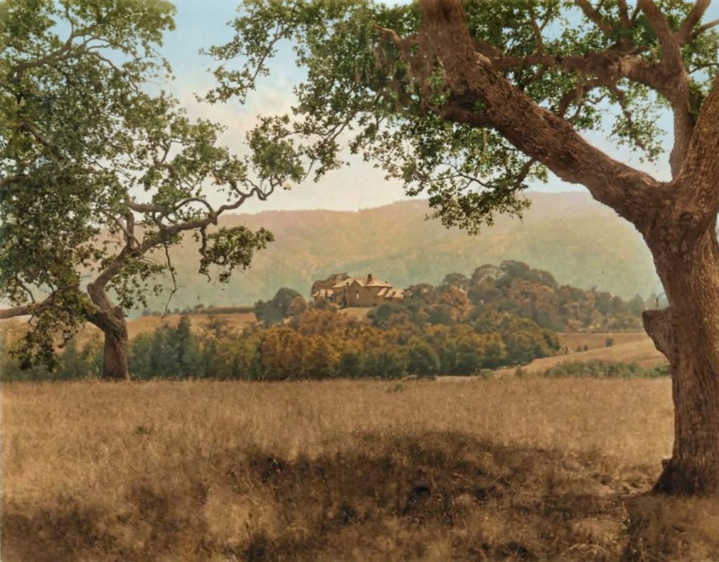 The main house of The Mortimer Fleishhacker Estate from a distance in 1915, illustrating its harmony with the natural setting.