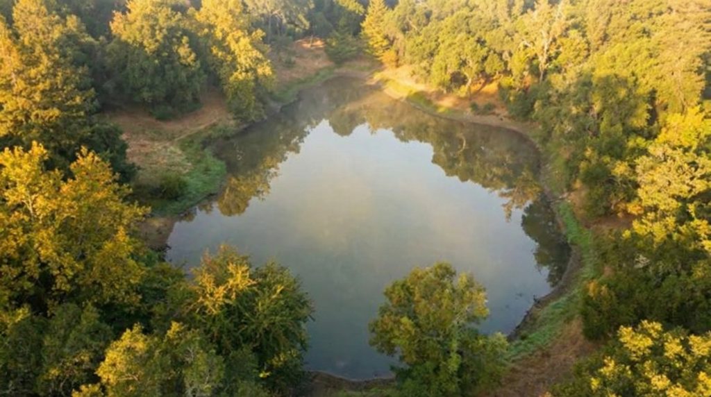A contemporary aerial photo of the reservoir at The Mortimer Fleishhacker Estate, a key part of its self-sufficient design.