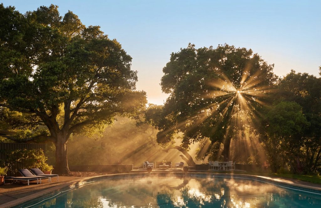 The free-form swimming pool at The Mortimer Fleishhacker Estate, a feature that pioneered the modern California lifestyle.