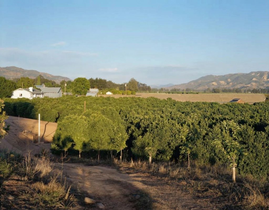 Exterior landscape view from The Sespe Ranch Bunkhouse looking out over the citrus groves and fields of historic Rancho Sespe