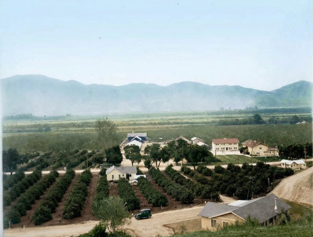 Historic 1920 photograph of Rancho Sespe showing the agricultural landscape surrounding The Sespe Ranch Bunkhouse in Fillmore