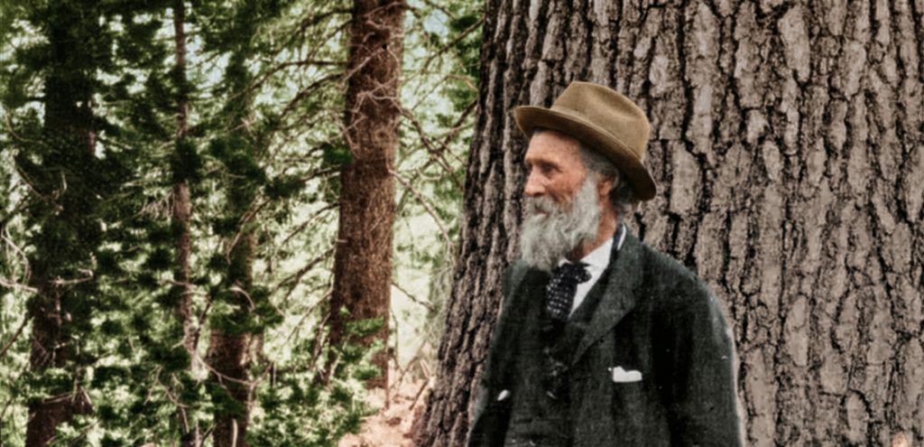 John Muir, naturalist and mentor to Samuel Merrill, the original owner of The Samuel Merrill House in Pasadena