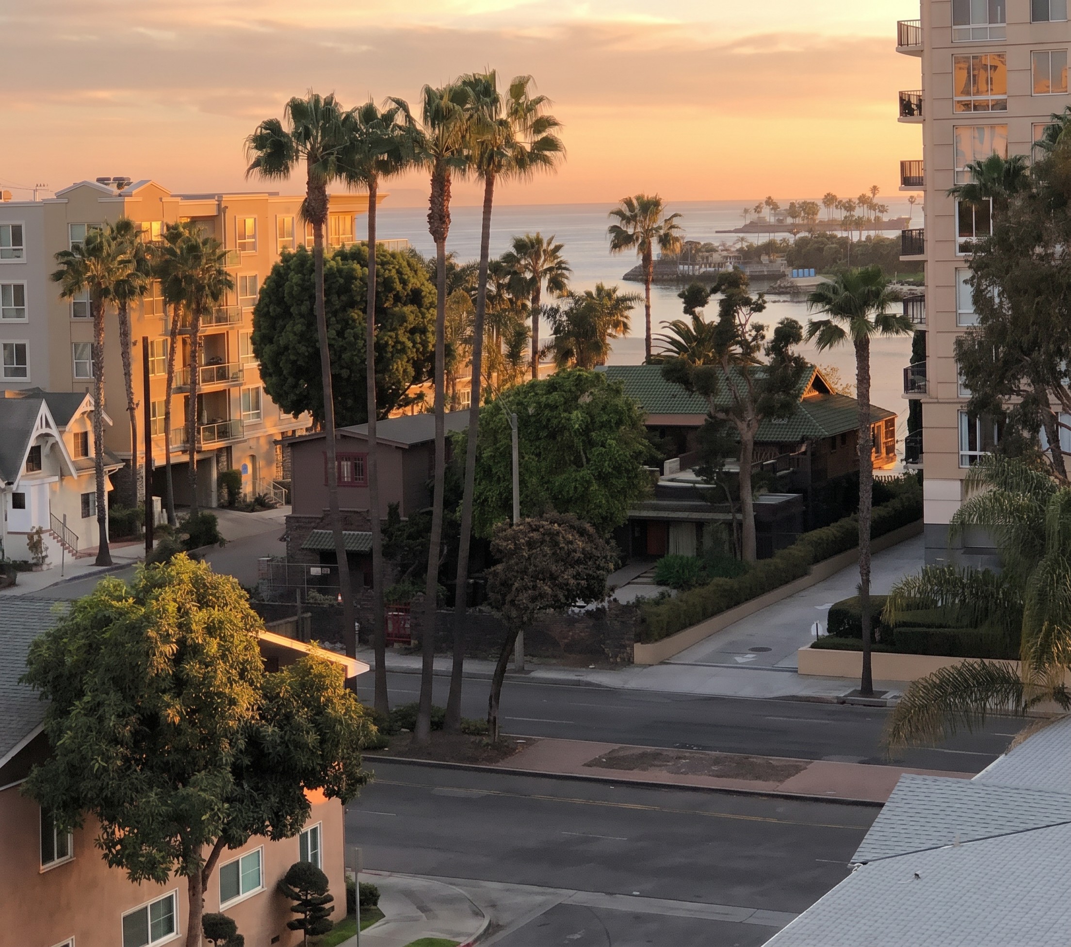 Contemporary photograph of Ocean Boulevard in Long Beach at sunset, showing palm trees, mid-century and modern apartment buildings flanking the street, the Pacific Ocean visible in the middle distance with a small jetty, and a glimpse of the Tichenor House's green tile roof at center between the high-rises