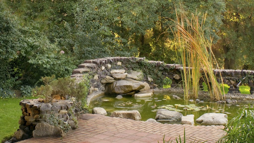 Photograph of the arroyo stone terrace and koi pond in the gardens of the David B. Gamble House, with rough boulder stones set into the water, mature trees overhanging from the banks, and the brick terrace approaching from the foreground — Japanese pond-garden principles realized in California materials