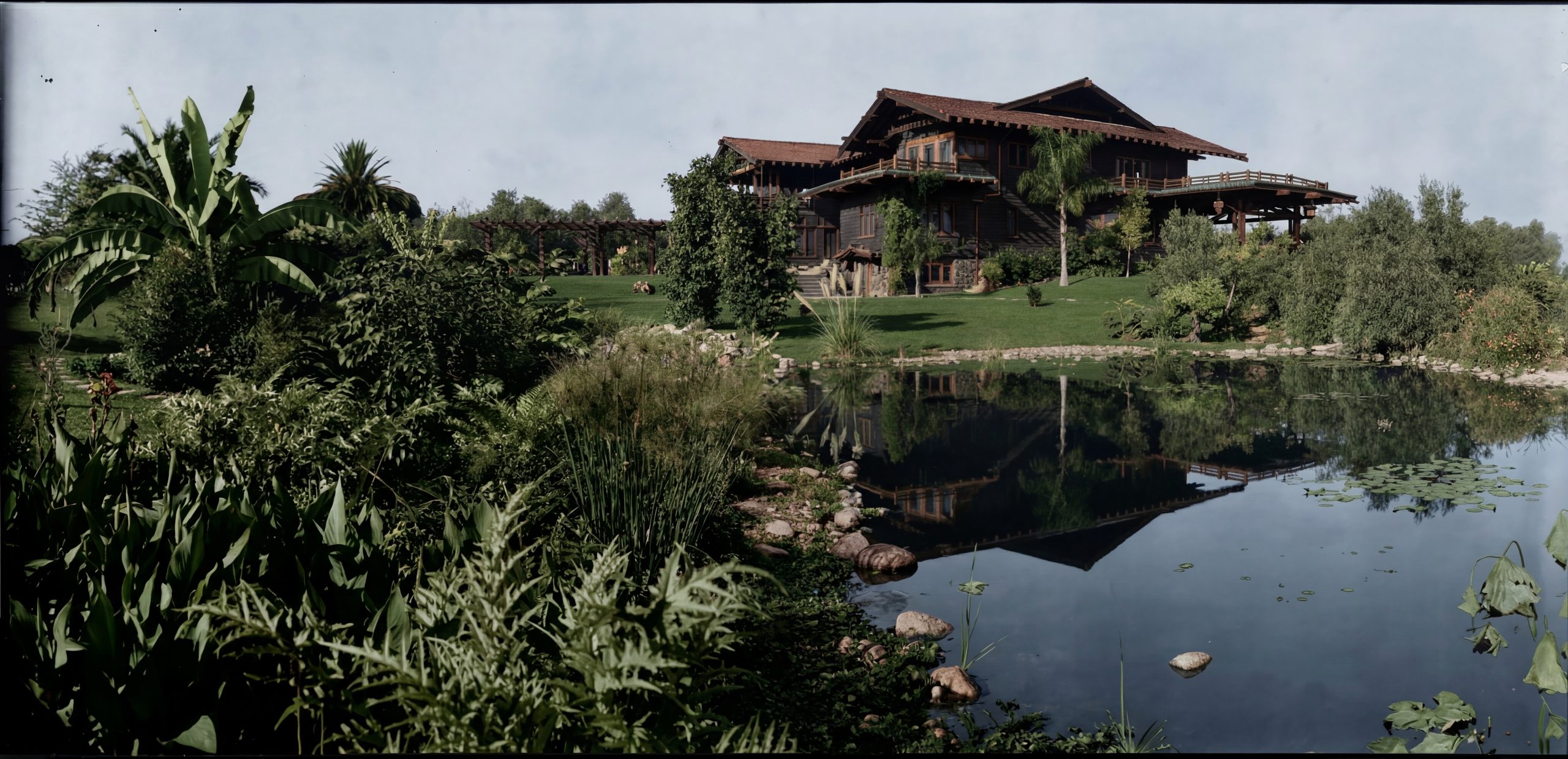 Colorized historic photograph of the original lily pond at the Robert R. Blacker House in Pasadena, with lotus and water lilies floating on its surface and the rear of the house visible through the trees behind.