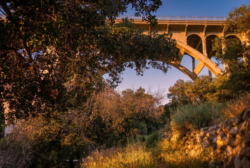 The Colorado Street Bridge arch framed by an overhanging coast live oak canopy, with a long retaining wall of rounded arroyo cobble stones running across the foreground at the canyon's edge.