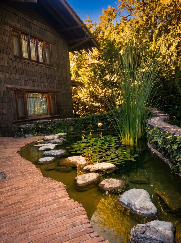 The shingled wall of the Gamble House, with deep overhanging eaves and wood-trimmed windows, rising beside its garden pond, which is crossed by a line of flat stepping stones among tall rushes and water lilies, with an ivy-covered stone retaining wall and a curving brick walk in the foreground in golden light.