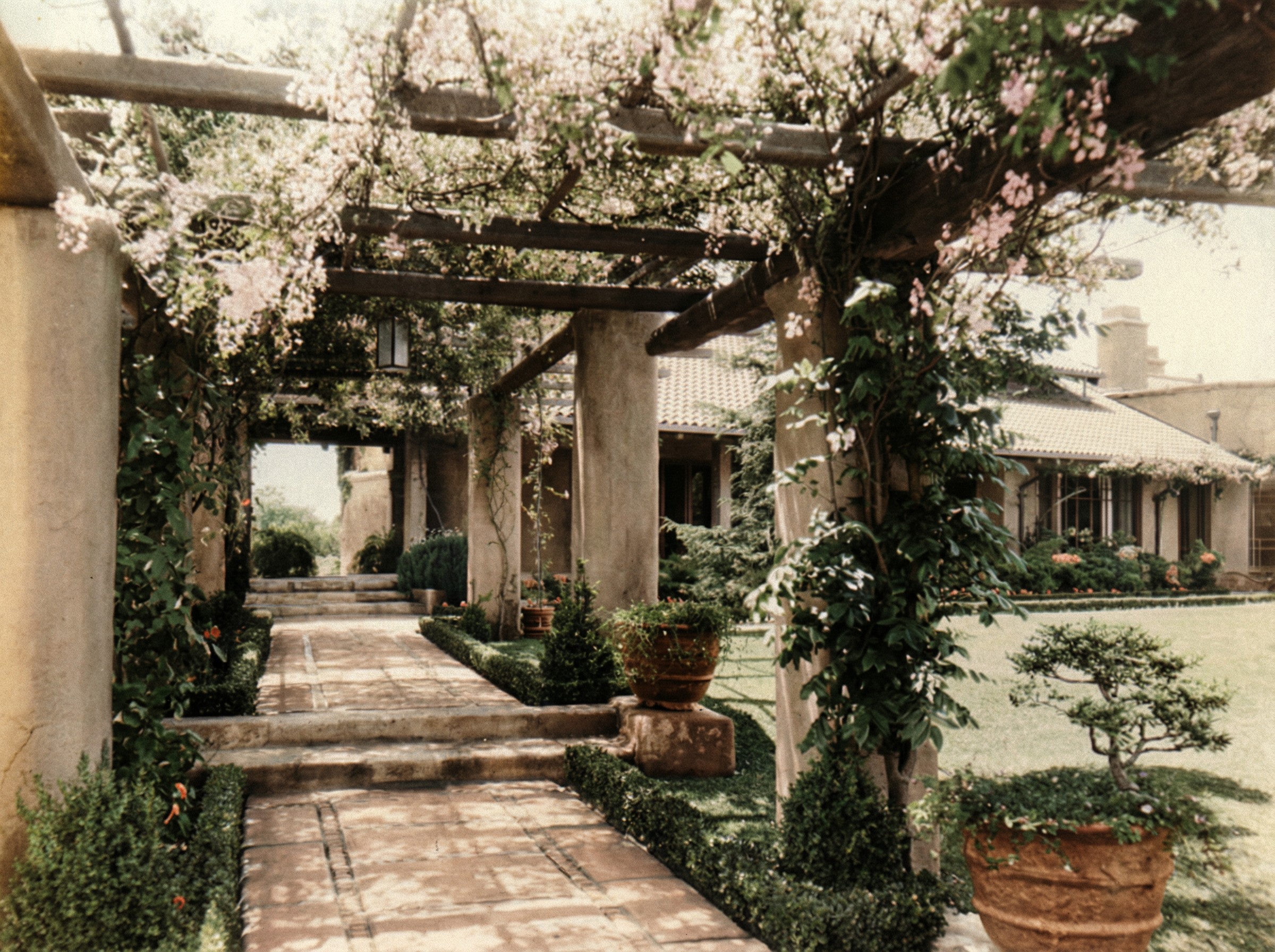 A tiled garden walk beneath a blossom-covered pergola at the Cordelia A. Culbertson House in 1917, clipped hedges and potted plants lining the path toward the house.